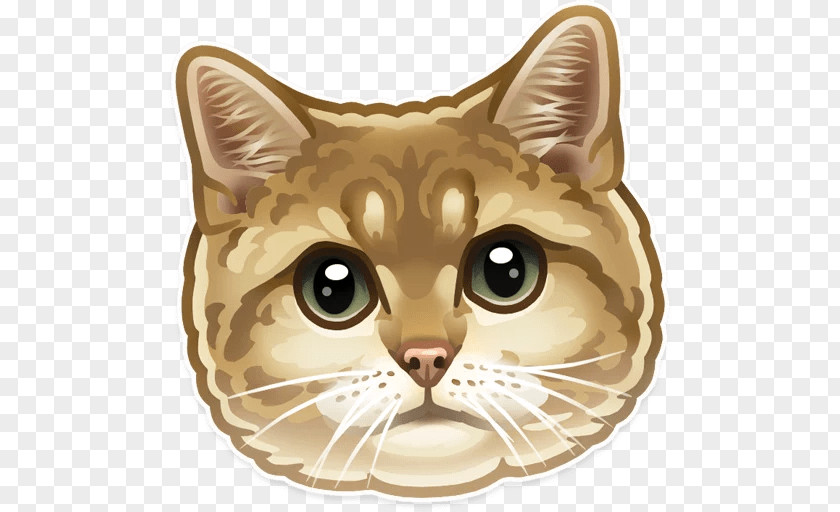 Kitten Whiskers Tabby Cat Sticker PNG