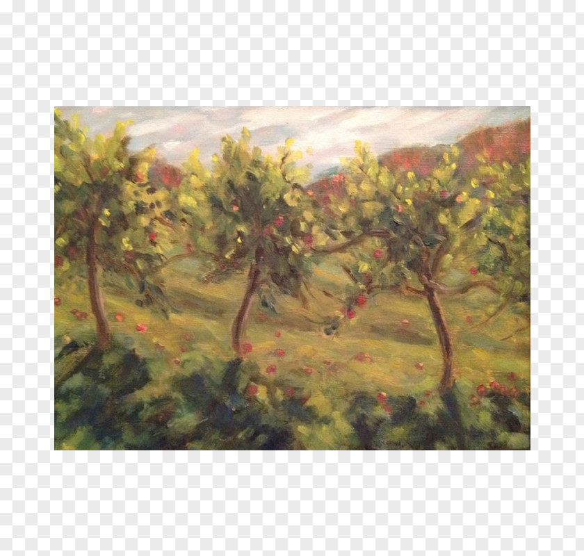 Orchard Painting Landscape Tree Branching PNG