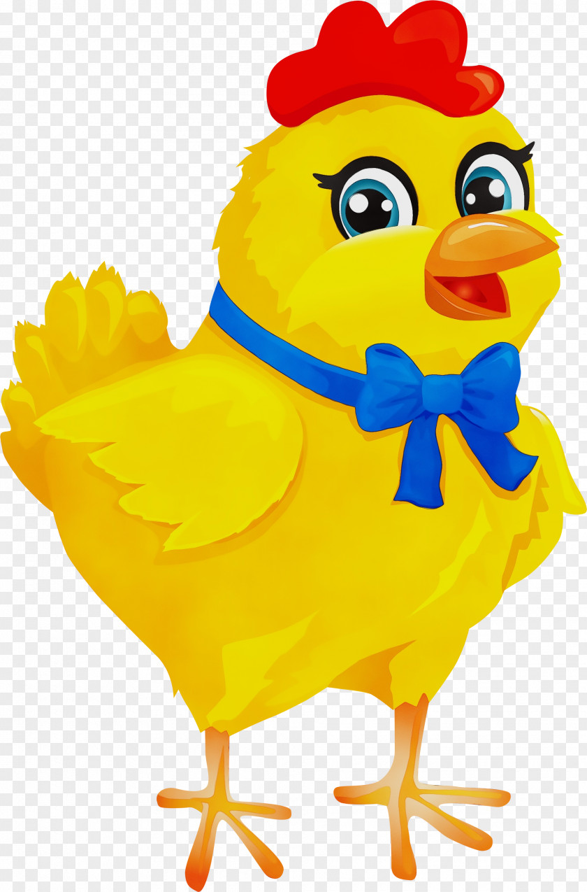 Beak Bird Chicken Cartoon Yellow Rooster Clip Art PNG