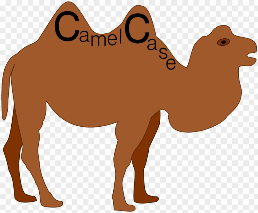 Camel Case Letter Naming Convention Snake Capitalization PNG
