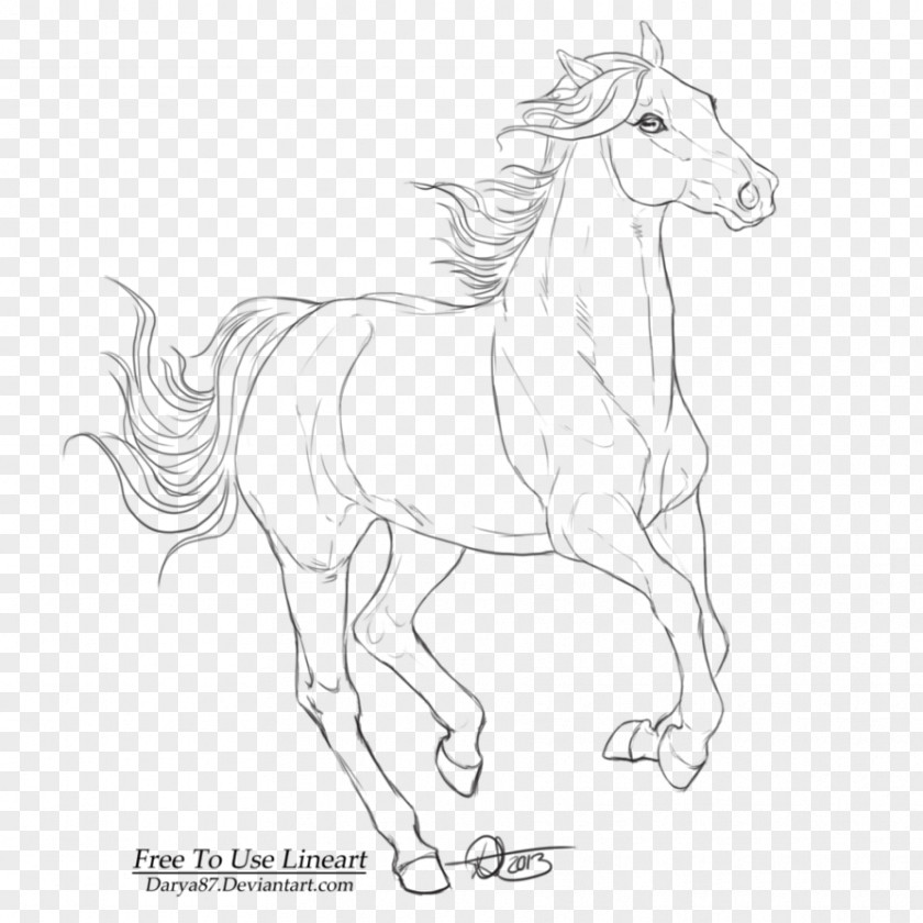 Lineart Shetland Pony Mane Mustang Halter PNG