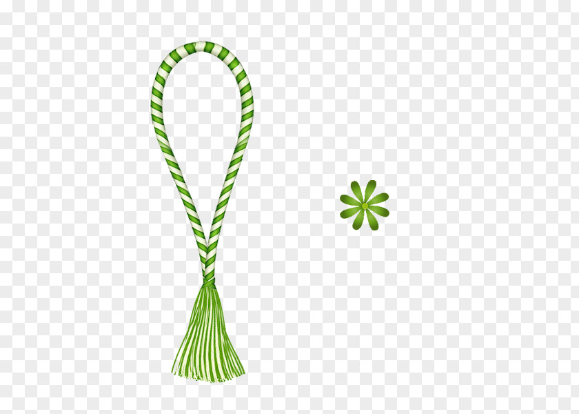 Rope Whip PNG