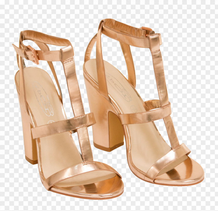 Sandal Shoe PNG