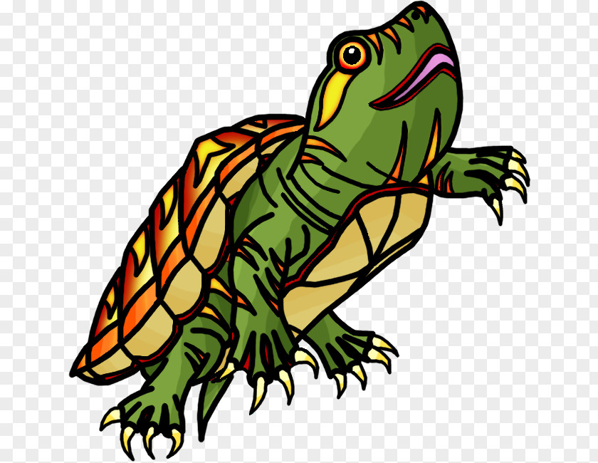 Turtle Toad True Frog Tree PNG