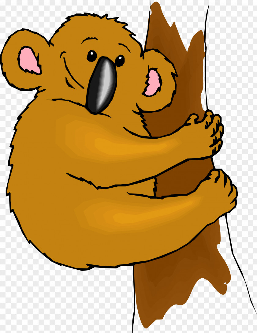 Cartoon Raccoon Koala Animation Illustration PNG