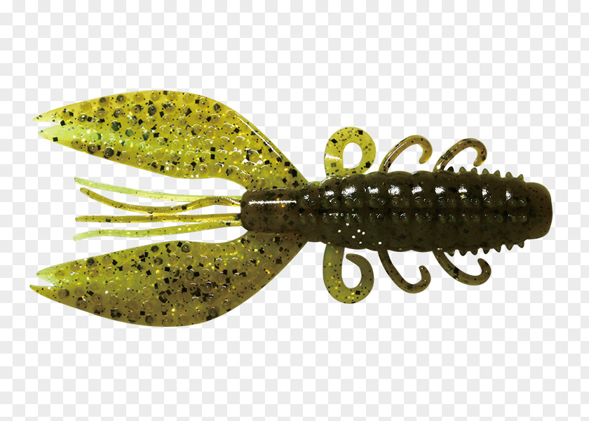 Craw Spoon Lure PNG