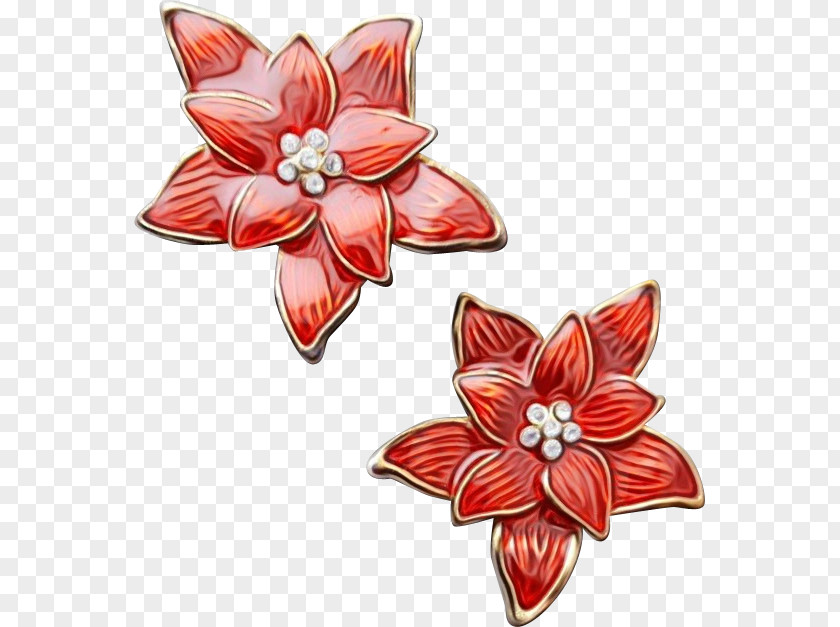 Cut Flowers Jersey Lily Flower Petal Red PNG