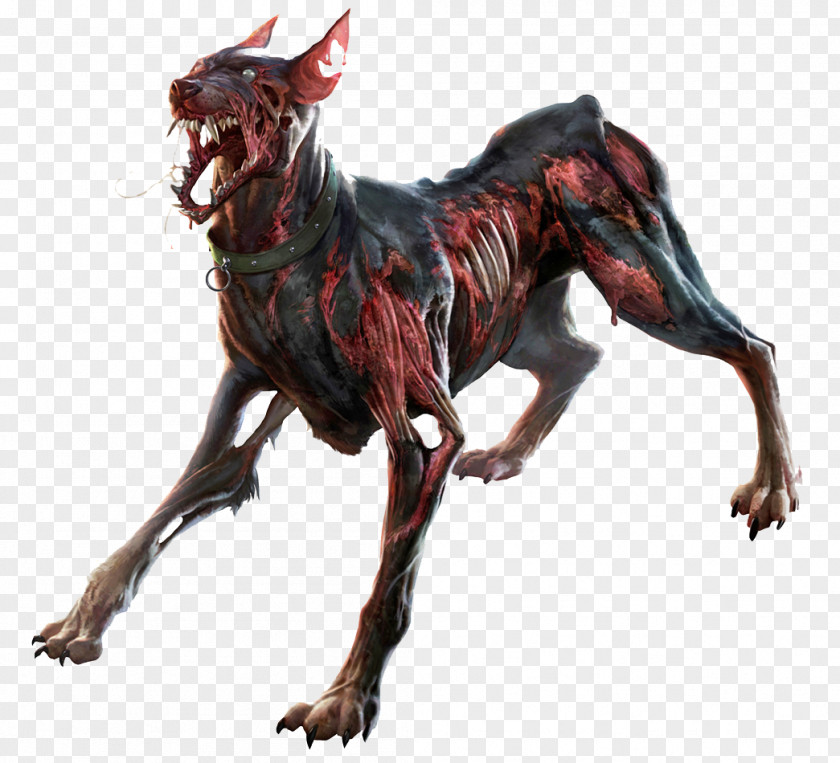 Dobermann Resident Evil 6 James Marcus 7 Days To Die PNG to Die, zombie clipart PNG