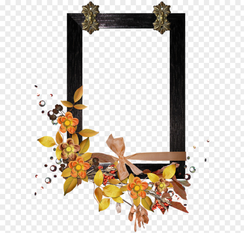 Leaf Picture Frames Photography PNG