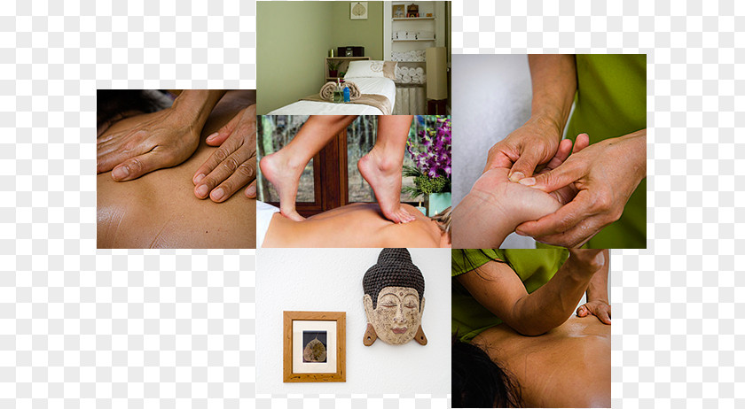 Massage Therapy Of Stockton The Thai Centre Parlor PNG