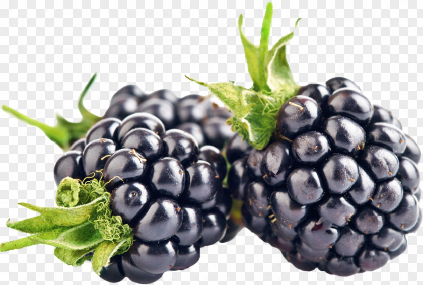 Blackberry Pie Raspberry Seed Fruit Tutti Frutti PNG