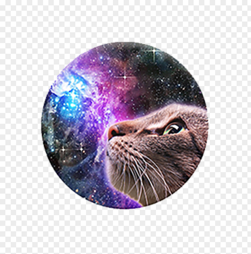 Cat CatStronauts: Mission Moon PopSockets Grip Stand IPhone 4 PNG