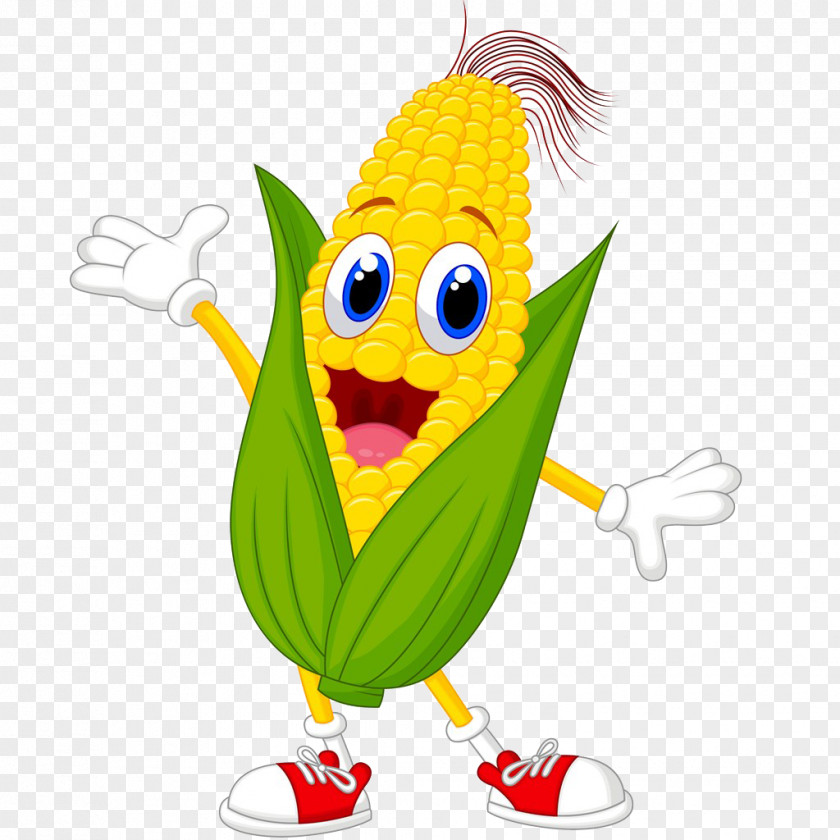 Corn On The Cob Cartoon Maize Drawing PNG