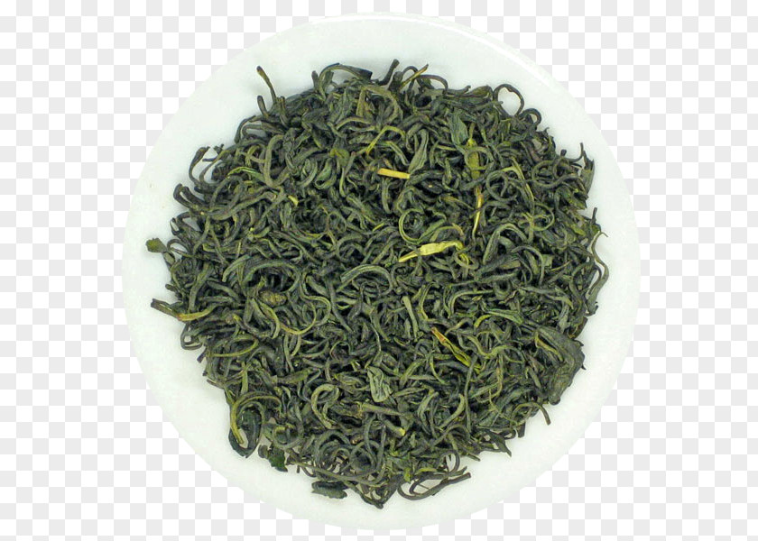 Green Tea Longjing Gyokuro Biluochun PNG