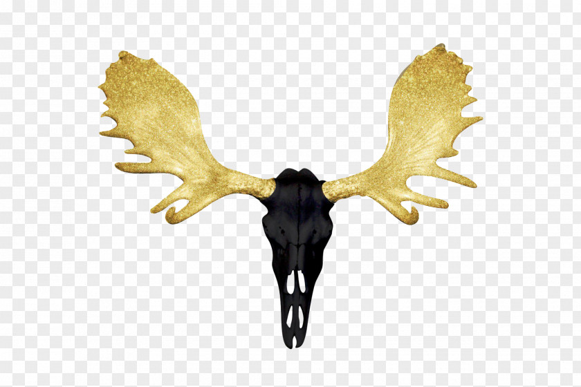 Skull Antler Horn Deer Bison PNG