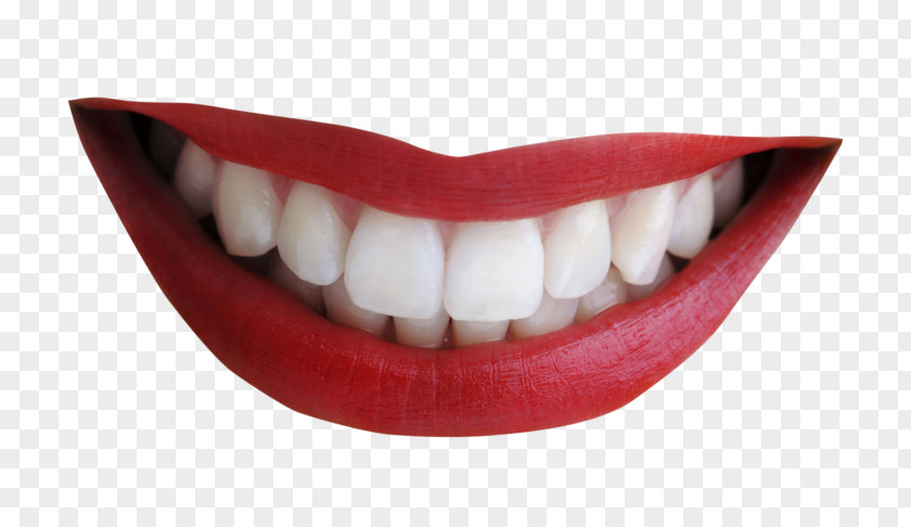 Smile Human Mouth Clip Art Tooth PNG