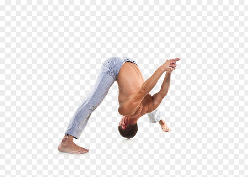Yoga U745cu4f3du5065u8eab Physical Fitness Asana PNG