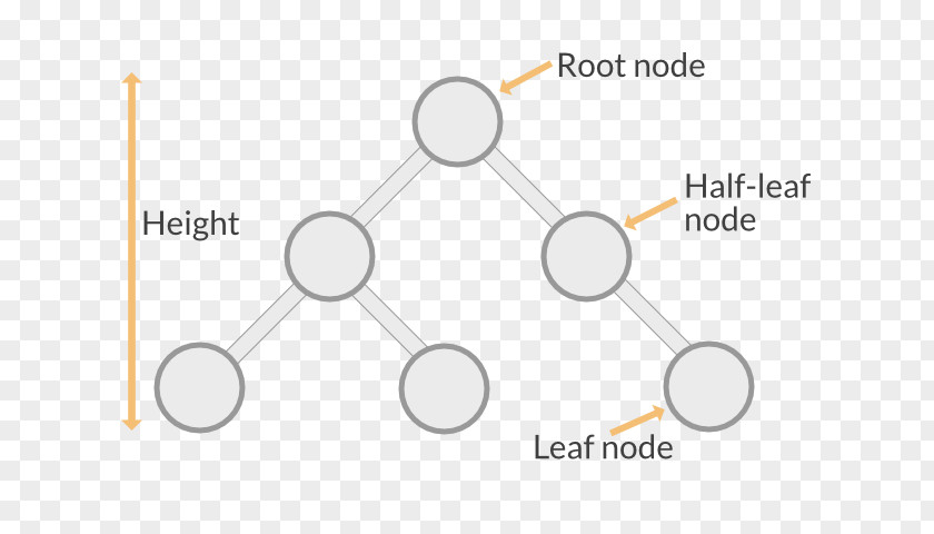 Circle Brand Pattern PNG