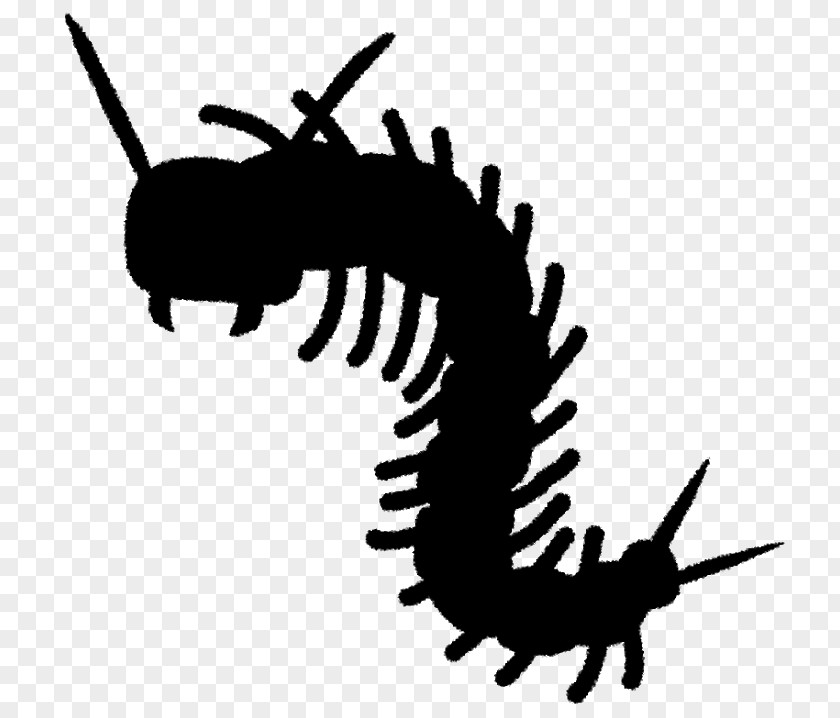 Clip Art Silhouette Insect Membrane Legendary Creature PNG