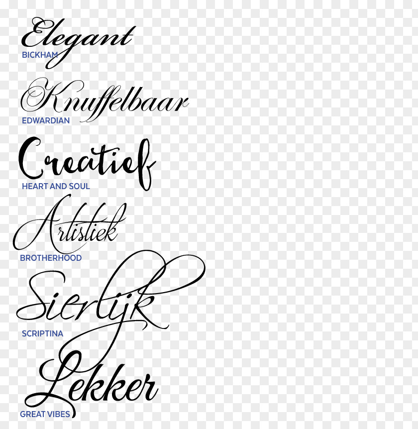 Design Modern Typography Serif Font PNG
