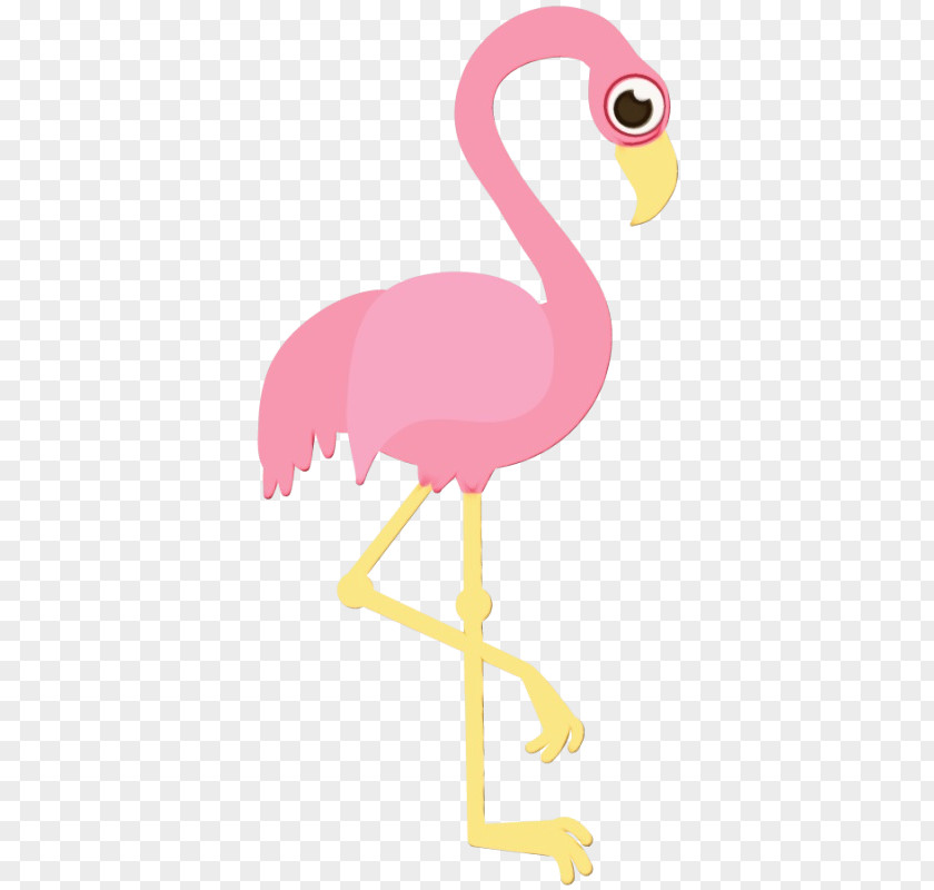 Flightless Bird Ostrich Flamingo PNG