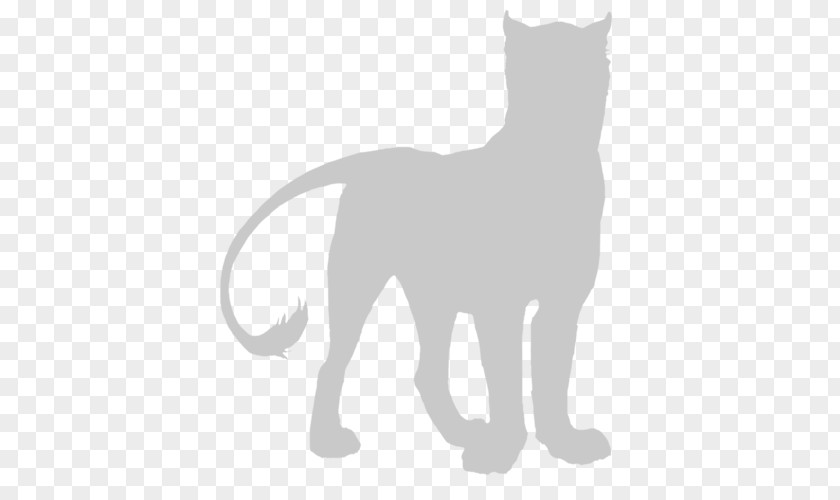 Kitten Whiskers Cat Lion Cougar PNG