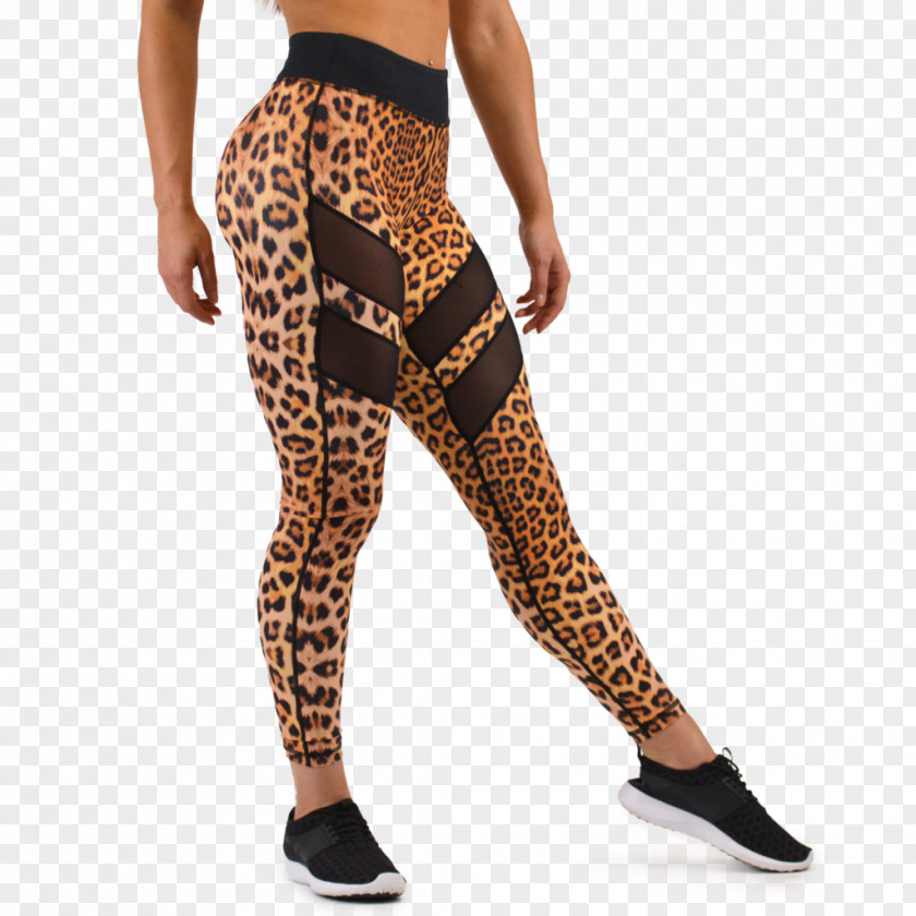 Leopard Leggings Pants Tights Animal Print PNG