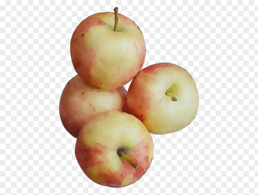 Mcintosh Flowering Plant Apple Fruit Natural Foods Food PNG