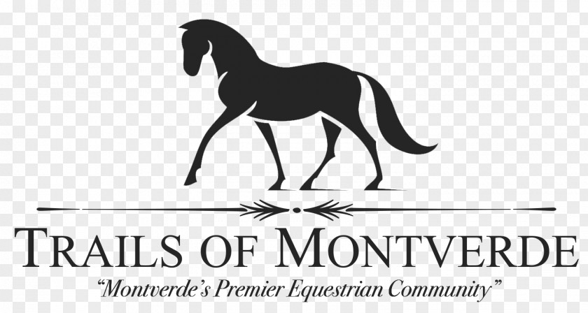 Mustang Black Horse Inn Pony Stallion Logo PNG