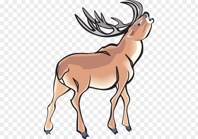 Deer Reindeer Clip Art Moose Openclipart PNG