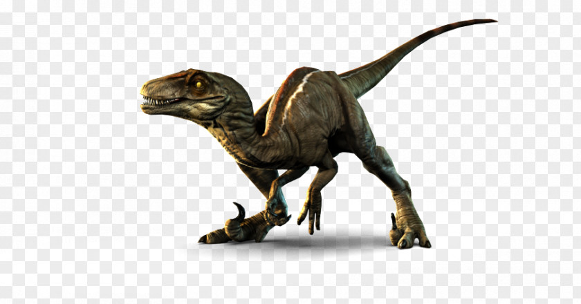 Dinosaur Velociraptor Primal Carnage: Extinction Dilophosaurus Utahraptor PNG