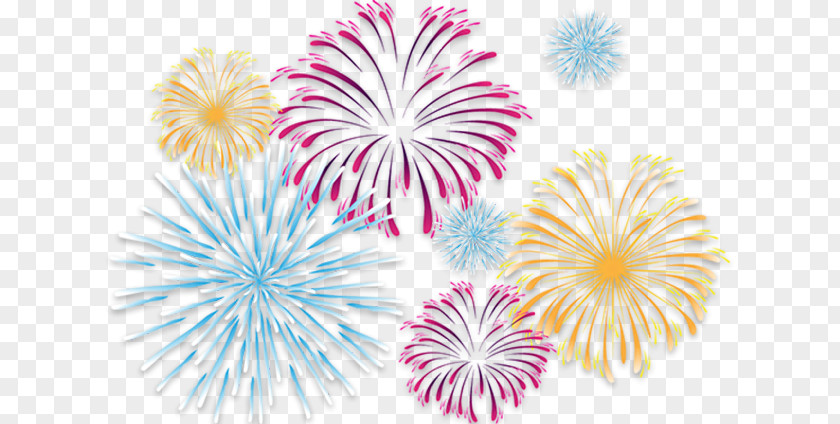 Fireworks Clip Art PNG