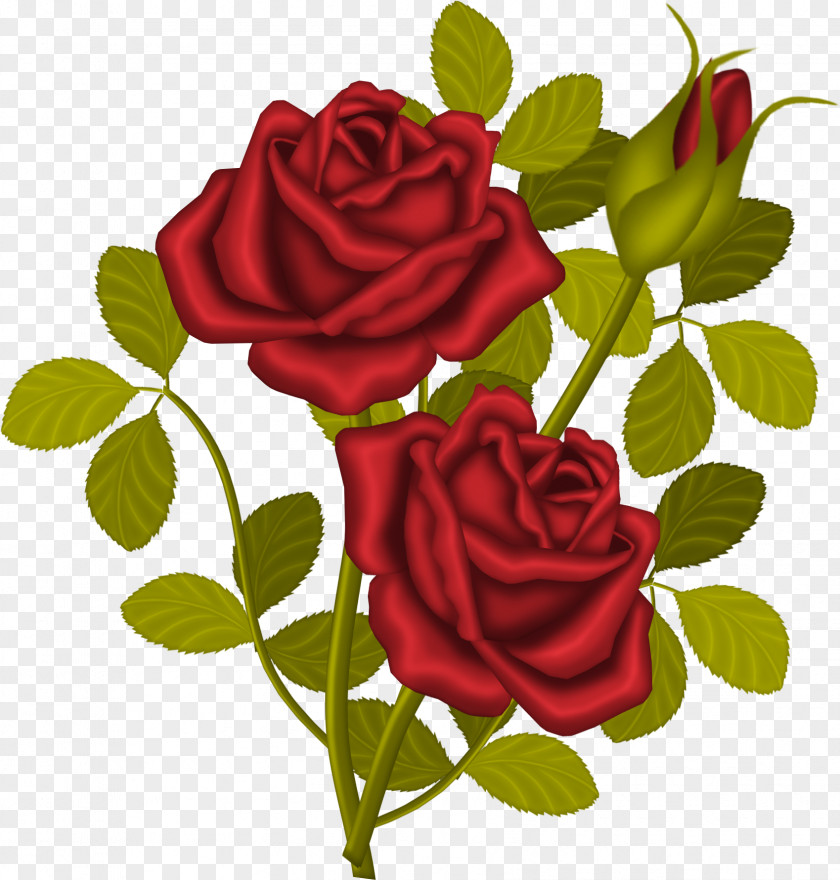 Gonca Clip Art Rose Free Content Image PNG