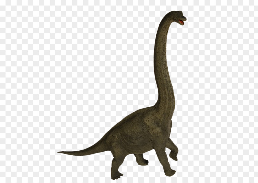 Goose Velociraptor Cygnini Duck Anatidae PNG