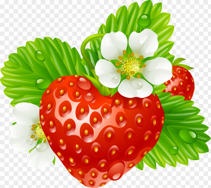 Watercolor Berries Strawberry Tea Clip Art PNG