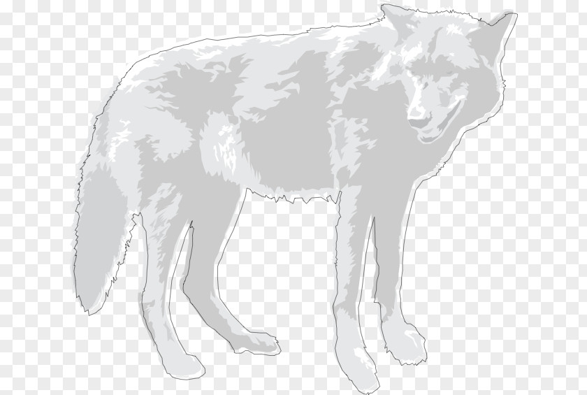 Dog Whiskers Cat Red Fox Fur PNG
