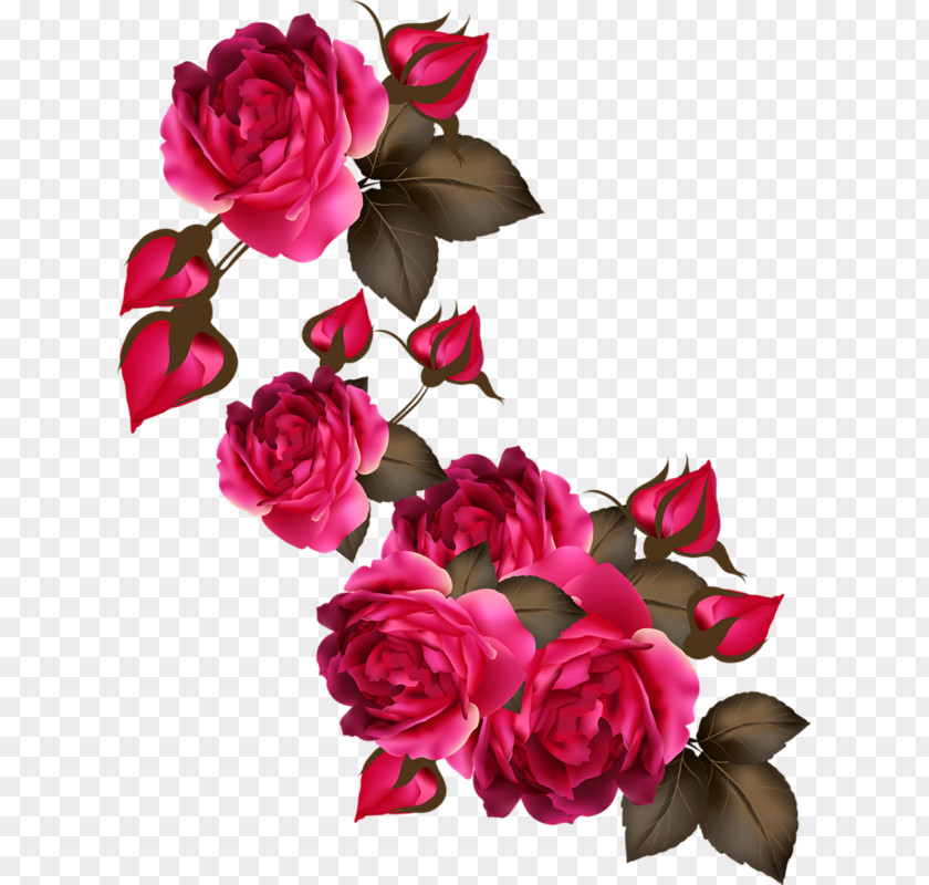 Flower Garden Roses PNG