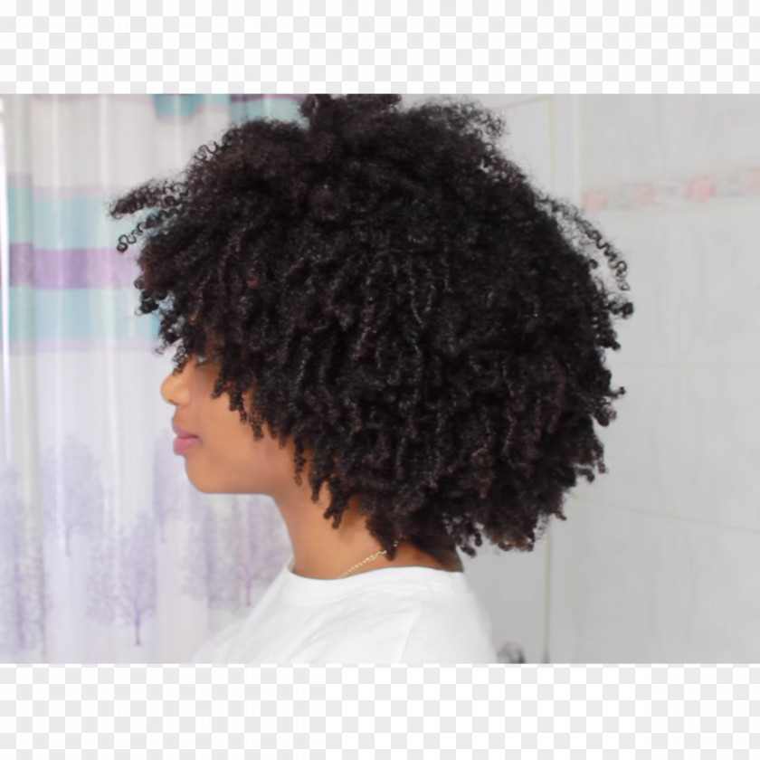 Hair Style Afro-textured Jheri Curl Box Braids PNG