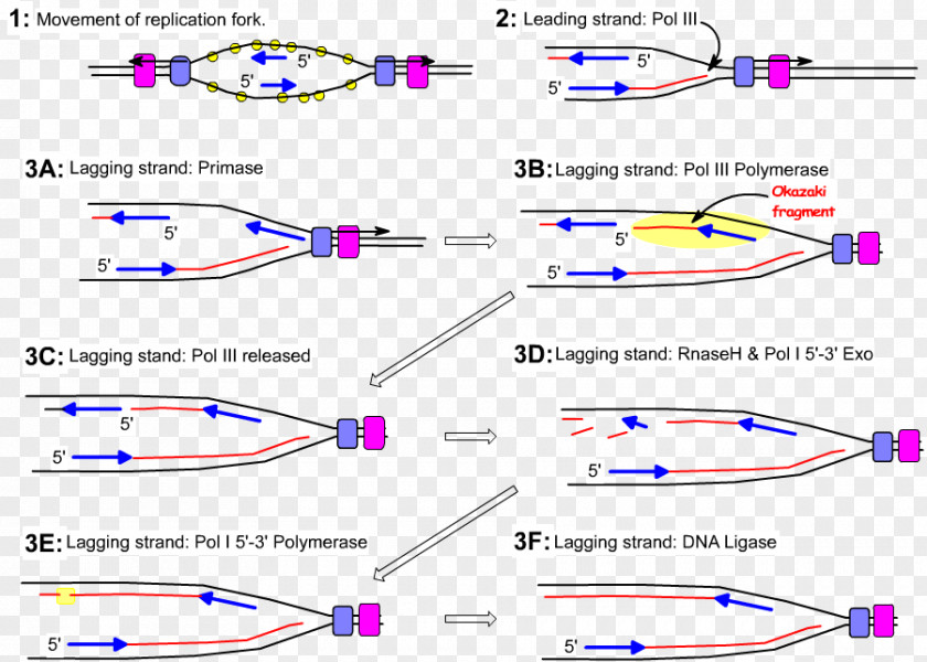 Line Point Angle Technology PNG