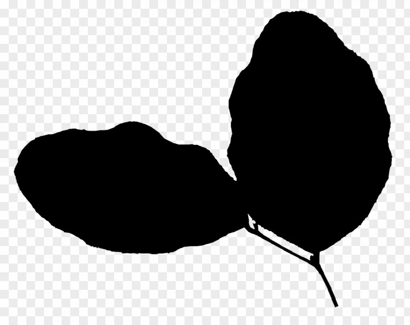 M Leaf Clip Art Silhouette Black & White PNG