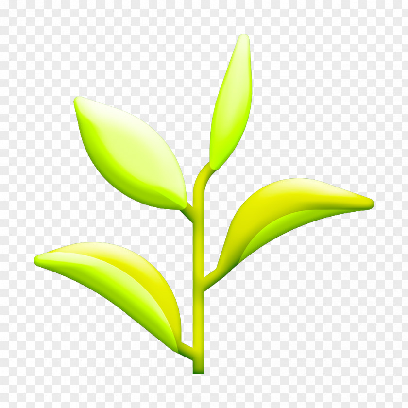 Plant Stem Flower Green Tea Icon Natural Scent PNG