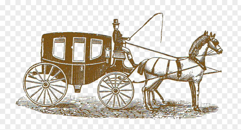 Stagecoach Cliparts Horse Alda's Magnolia Hill Carriage Clip Art PNG