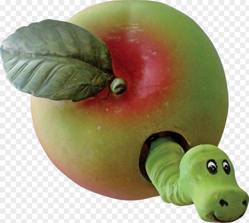 Thanksgiving Material Apple PNG