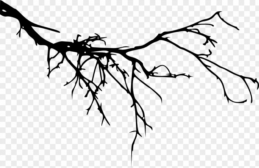 Tree Branch Silhouette Image PNG