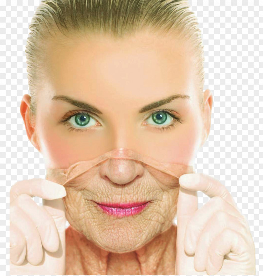 Ageing Anti-aging Cream Wrinkle Life Extension Skin Care PNG cream extension care, Face clipart PNG
