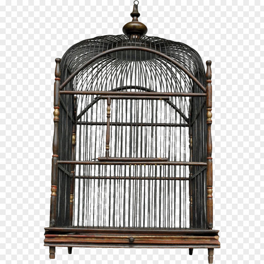 Bird Cage Birdcage Parrot Victorian Era Cockatiel PNG