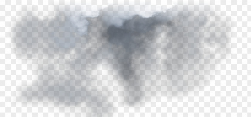 Computer Cumulus Desktop Wallpaper Geology Tree PNG