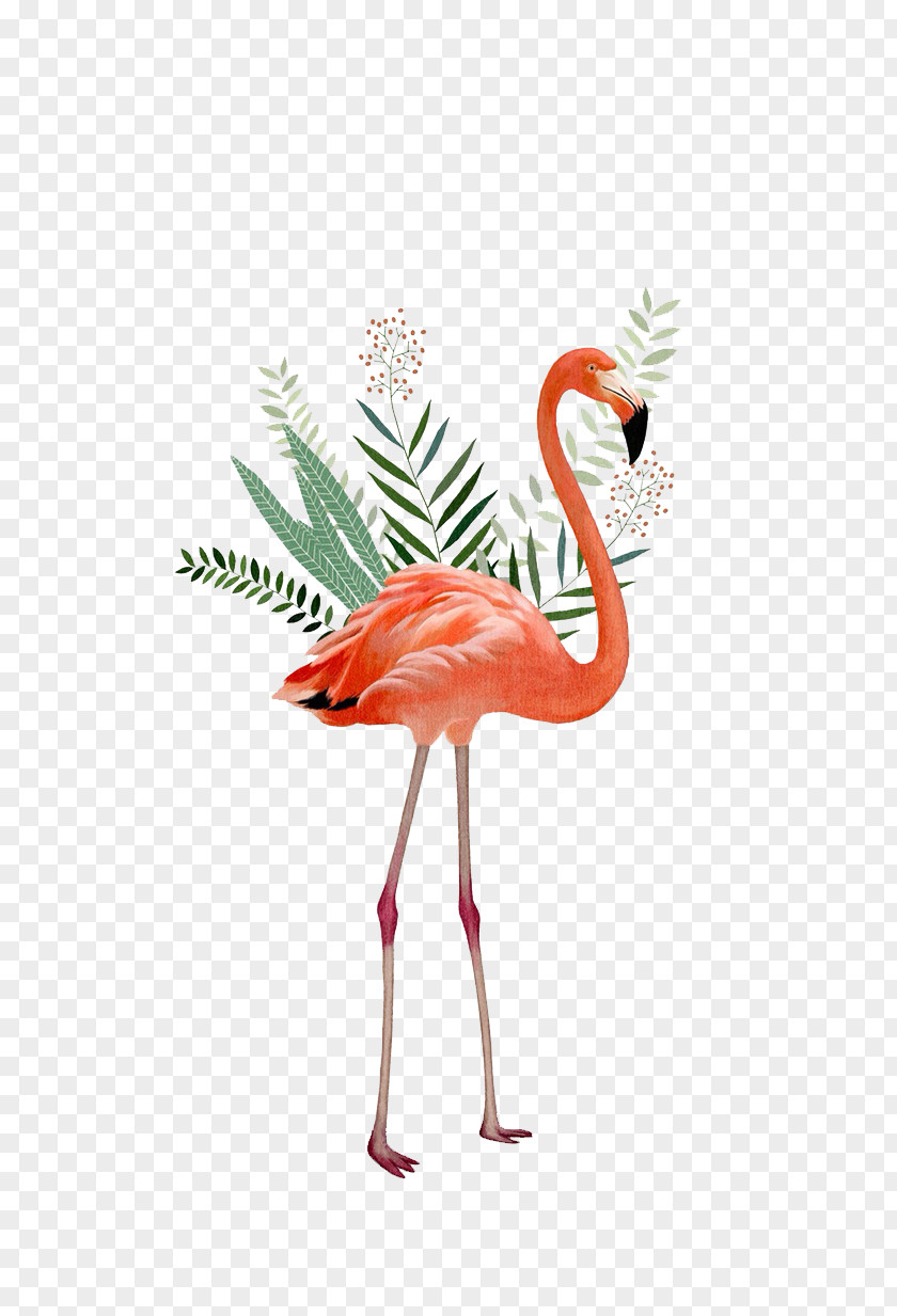 Crane Flamingos Painting Illustration PNG
