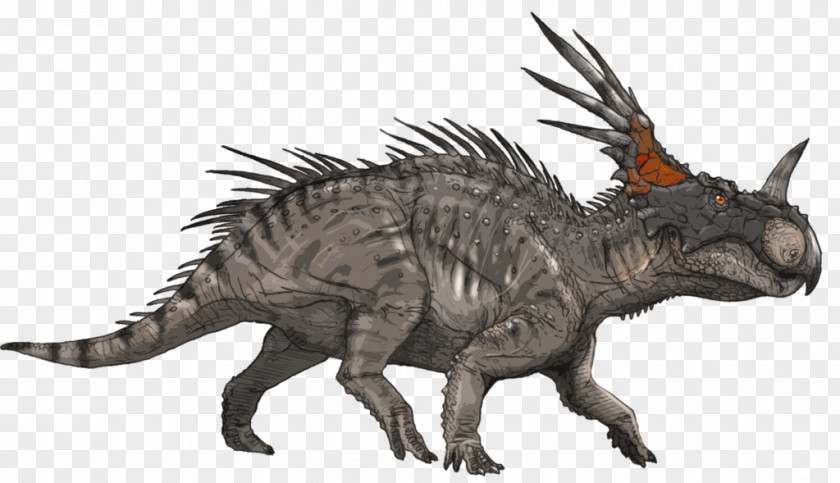 Dinosaur Torosaurus Styracosaurus Triceratops Microraptor Pentaceratops PNG