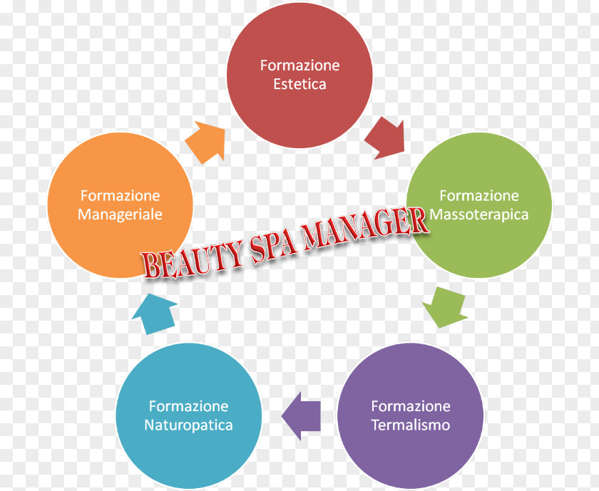 Flyer Beauty Salon Systems Development Life Cycle Marketing Purchasing Sales Business Process PNG